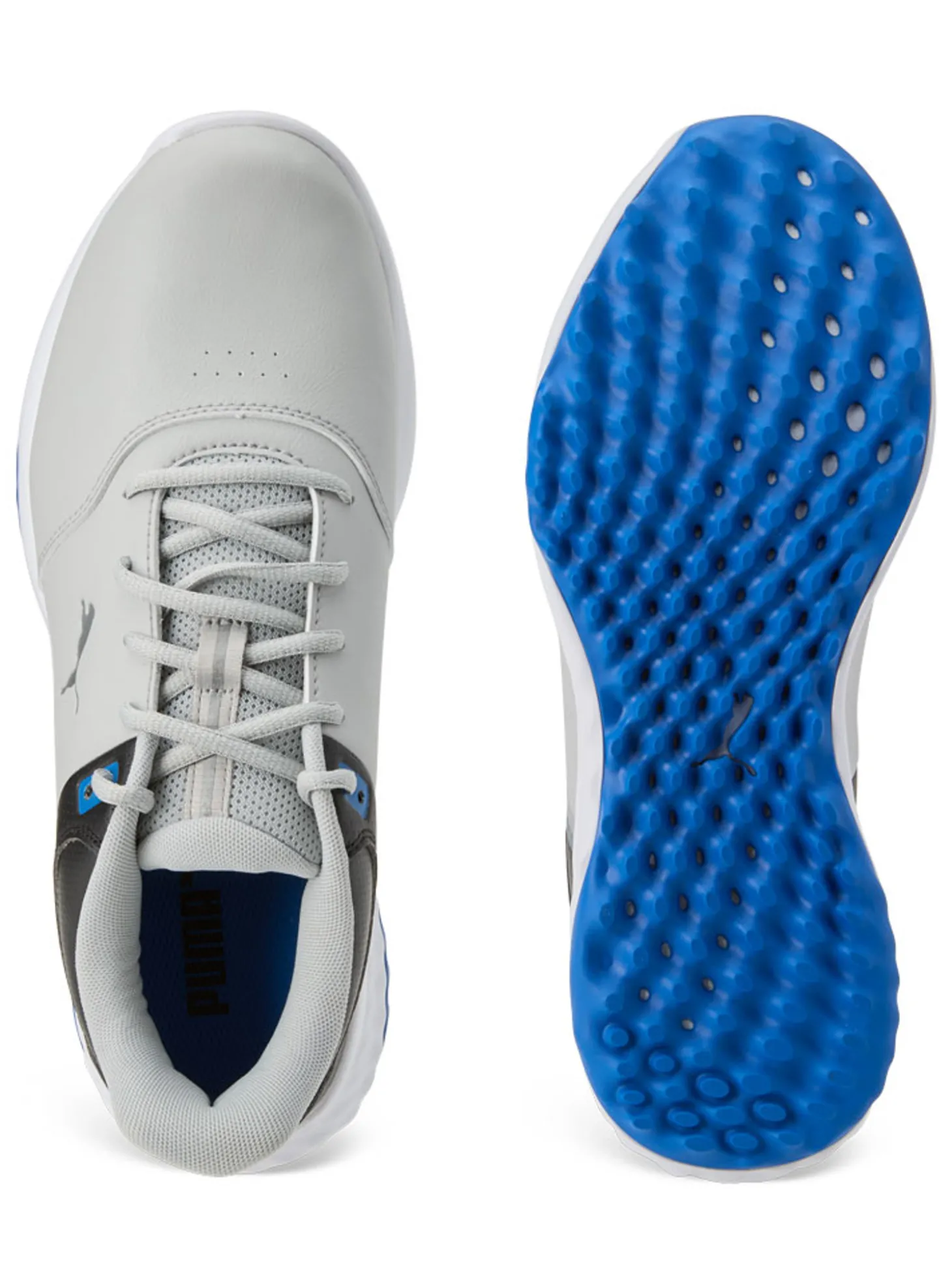 Puma FUSION Smash Wide Golf Shoes - Ash Grey/Puma Black/Team Royal